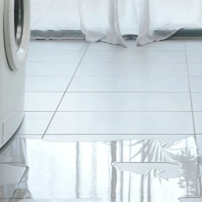 Appliance Leak Cleanup in Palacios, TX