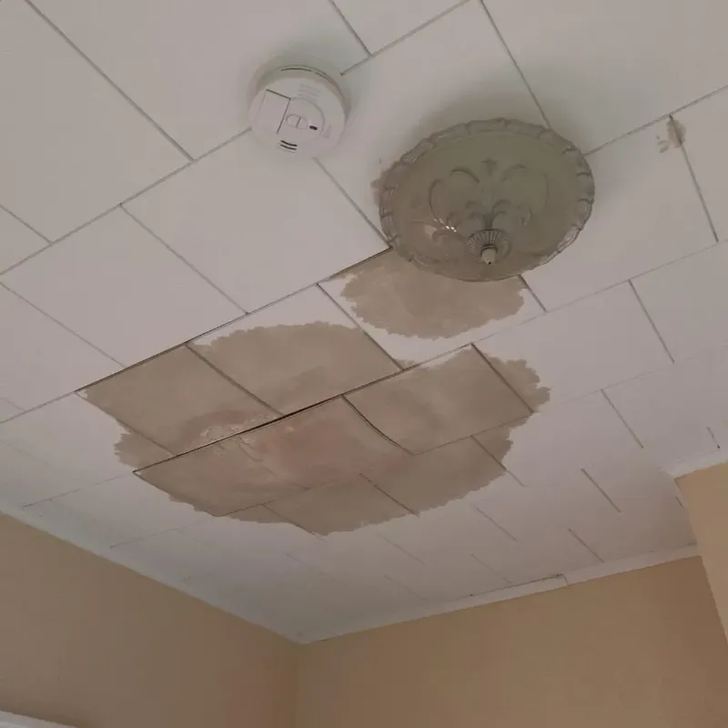 Ceiling Water Damage Repair in Palacios, TX
